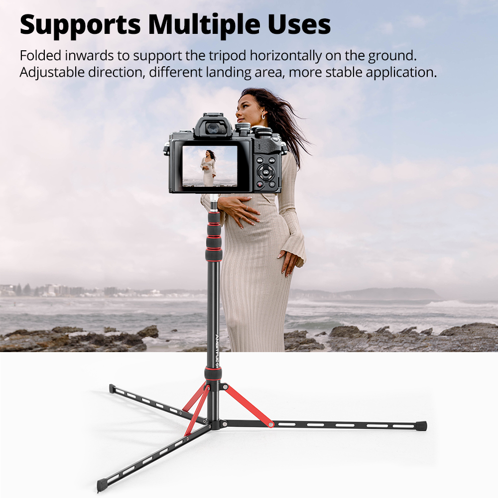Ambitful GM220 soporte de ilum - Photography Basics reseña y precio